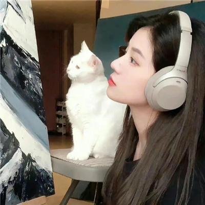 扑朔迷情